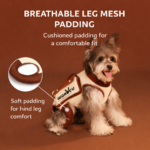 Pet Sling Carrier Bag